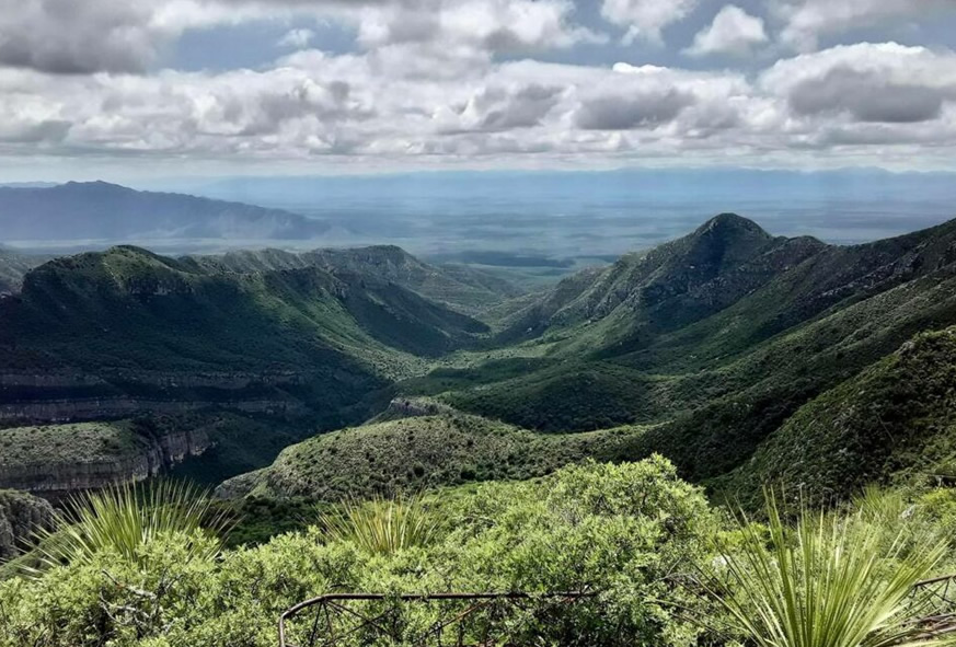 Sierra de Santa Rosa