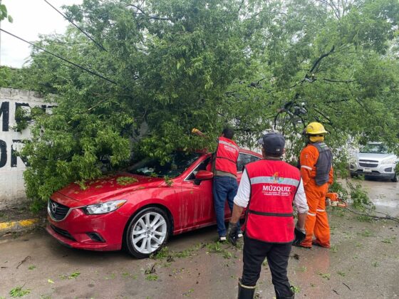 Tormenta causa estragos en Múzquiz; Laura Jiménez indica el despliegue inmediato de cuerpos de emergencia