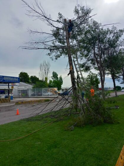 El Gobierno Municipal de Múzquiz, encabezado por la alcaldesa Laura Jiménez Gutiérrez, continúa trabajando en la mejora de la imagen urbana y el cuidado de nuestro entorno.