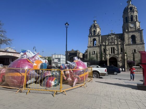 Múzquiz se llena de magia decembrina con el inicio del montaje del Gran Pino Navideño en la Plaza Principal